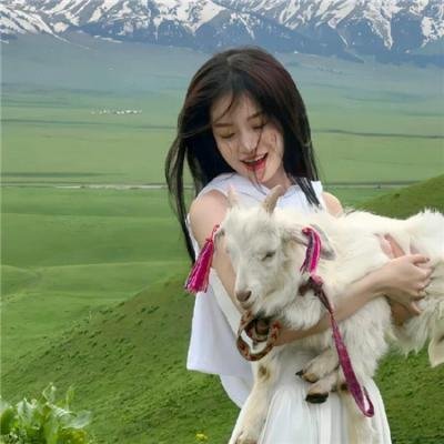 丑闻笔记海报